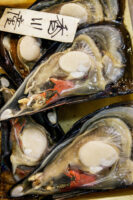 Tokio, Japan, 15. Februar 2009 - Tokio, Hauptstadt von Japan. Fischmarkt.

Photo by Daniel Ammann