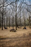 Tokio, Japan, 15. Februar 2009 - Tokio, Hauptstadt von Japan. Im Yojogi Park.

Photo by Daniel Ammann