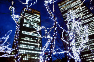 Tokio, Japan, 17. Februar 2009 - Tokio, Hauptstadt von Japan. Nacht und Licht und Hochhaus und Baeume.

Photo by Daniel Ammann