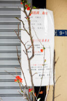 Tokio, Japan, 17. Februar 2009 - Tokio, Hauptstadt von Japan. Blumen, Flowers.

Photo by Daniel Ammann