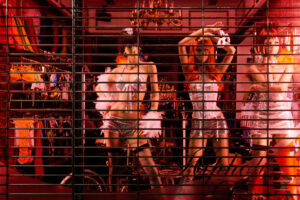 Tokio, Japan, 17. Februar 2009 - Tokio, Hauptstadt von Japan. Sex Shop, Schaufensterpuppen.

Photo by Daniel Ammann