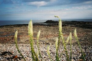 ENGLAND,1.AUGUST02 - Bilder der Reise durch das Koenigreich England von Nadja Tarnutzer und Daniel Ammann. Buchprojekt England 2002. Strandsicht ueber Schotter auf den Atlantik.

photo by Daniel Ammann